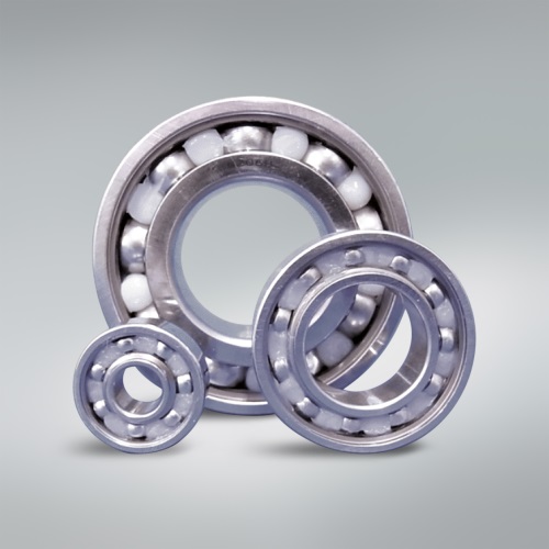 Food Grade Grease-Packed Stainless Steel Bearings