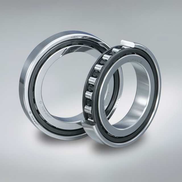 Robust Series of Single-Row Cylindrical Roller Bearings